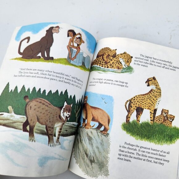 Vintage Disney Book Animals and Their Babies Walt Disney 1983 hardcover Jungle - Picture 8 of 14